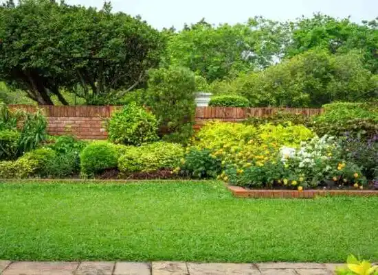 landscaping services Barnesville